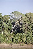 Canoe journey down the rivers of the Madre de Dios department in the Manu reserve